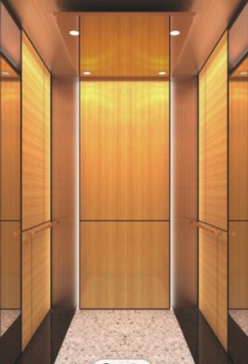 کابین آسانسور 10 نفره CNAS استیل ضد زنگ