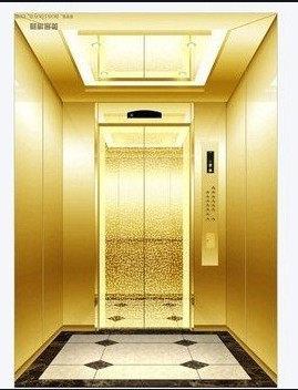 MRL Machine Room Less Hydraulic Elevator Lift 800KG 10 Person