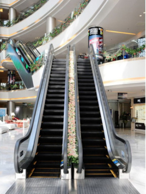 800mm Step 9000P/h پله برقی متحرک پیاده روی 0.5m/s پله برقی خانگی داخلی